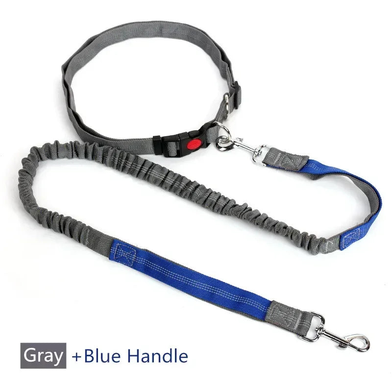 Hands-Free Dog Leash