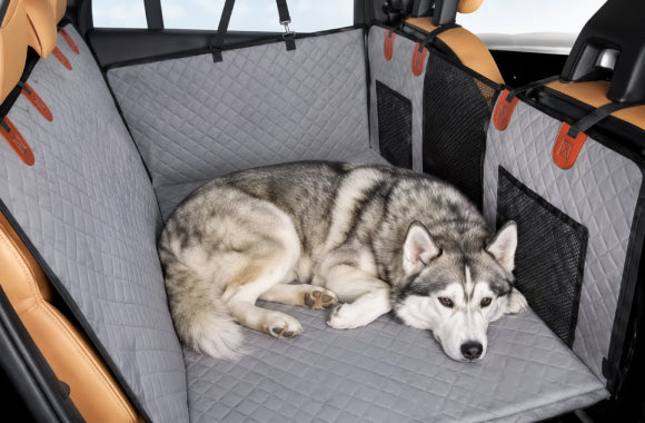 Dog Beds & Furniture - azpaws