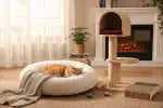 Cat Beds & Furniture - azpaws