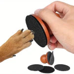 Dog Grooming & Care - azpaws