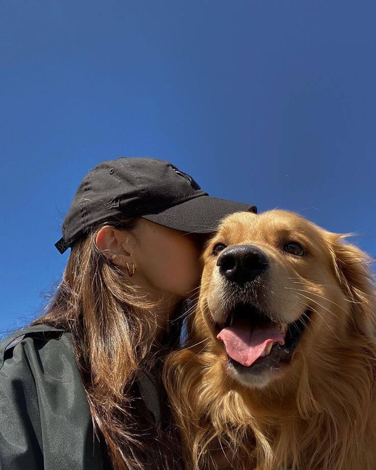 🐕 Dogs 🐶 - azpaws