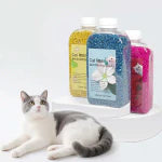 Cat Litter & Accessories - azpaws