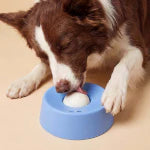Dog Feeding & Bowls - azpaws