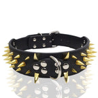 Black spiked dog collar with metal rivets for large dogs - heavy-duty studded leather collar for Pitbulls Rottweilers - AZPaws