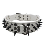 White studded dog collar with spikes - premium rivet collar for large breeds Huskies Labradors - waterproof PU leather - AZPaws