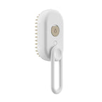 4-in-1 Steam Cat Brush Grooming