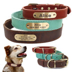 Premium brown leather dog collar with built-in nameplate - silent no-jingle design - AZPaws
