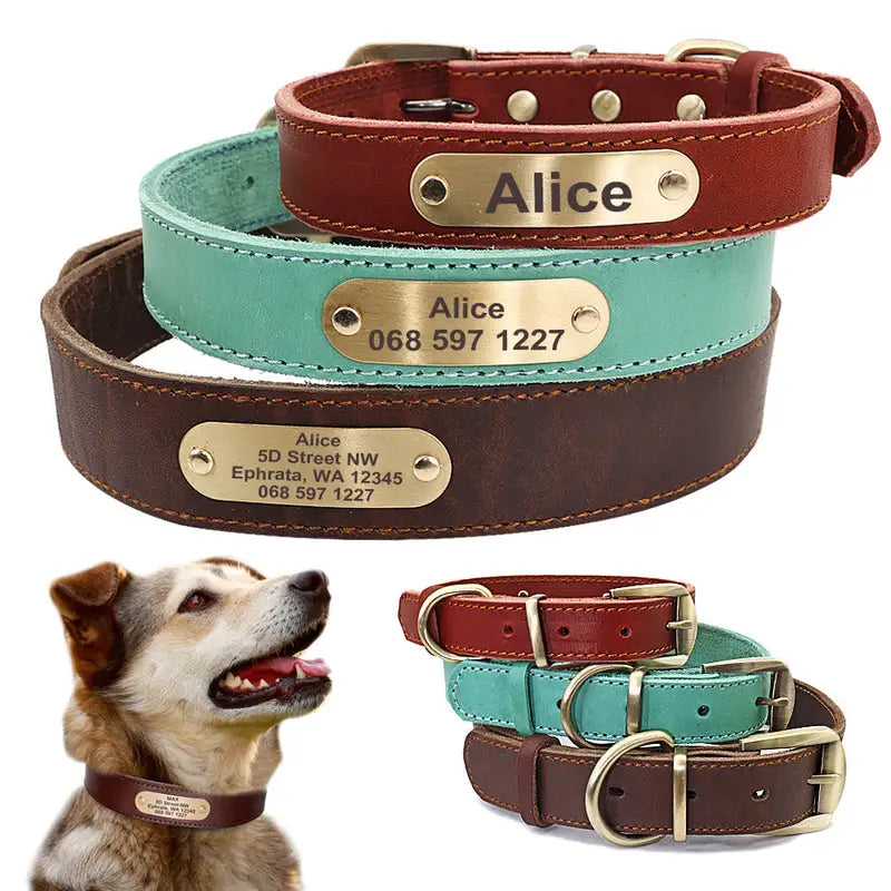 Premium brown leather dog collar with built-in nameplate - silent no-jingle design - AZPaws