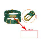 Heavy-duty personalized leather collar with engraved contact information for dogs - AZPaws