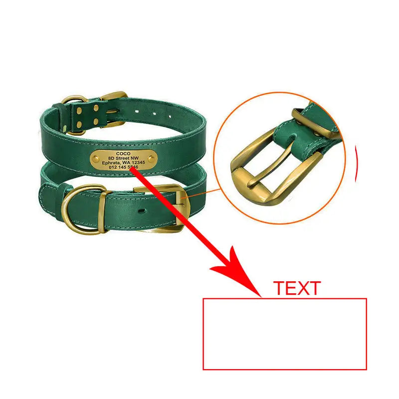 Heavy-duty personalized leather collar with engraved contact information for dogs - AZPaws