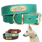 Personalized leather dog collar with gold nameplate ID tag for medium and large dogs - AZPaws