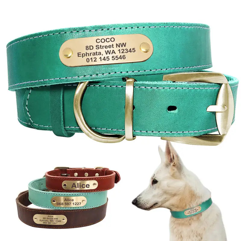 Personalized leather dog collar with gold nameplate ID tag for medium and large dogs - AZPaws