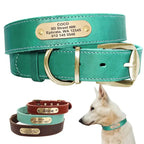 Quality Customized Collars with Nameplate ID Tags