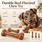 Dog chewing a beef-flavored durable dog bone toy with benefit callouts for play, durability and healthy chewing habits.