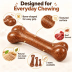 Close-up of beef-flavored dog chew toy showing bone-shaped design, textured surface and three available sizes.