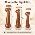 Durable dog chew bone size guide showing large 18.5 cm, medium 15 cm and small 12 cm beef-flavored toys with widths.