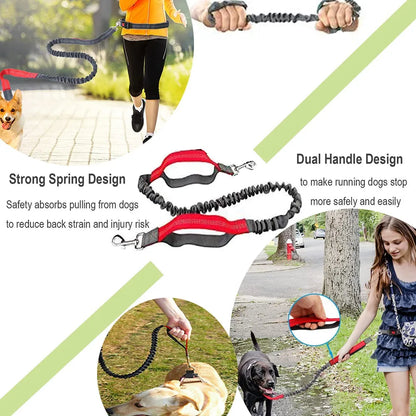 Hands-Free Dog Leash