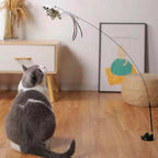 Cat playing with a toy on a wooden floor in a room with a dresser and artwork.