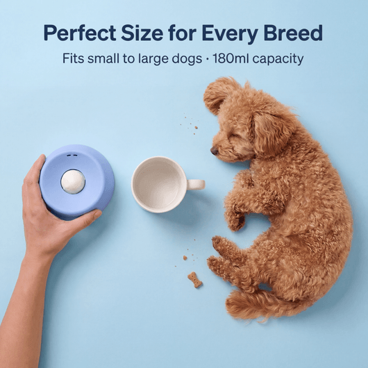 dog licking spinning bowl for separation anxiety relief – natural calming enrichment toy | AZPaws

