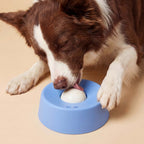 slow feeder lick bowl for anxious dogs – calming alternative to CBD and sedatives | AZPaws

