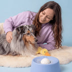 click-lock chew-proof lick bowl for aggressive chewer dogs – food-safe calming toy | AZPaws


