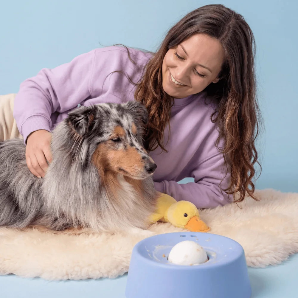 click-lock chew-proof lick bowl for aggressive chewer dogs – food-safe calming toy | AZPaws

