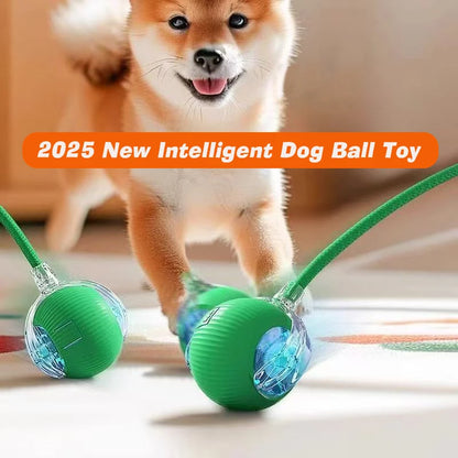 Smart Dog Ball Toy