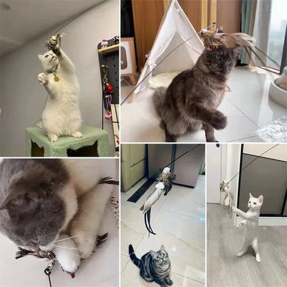 Fun Interactive Cat Toy