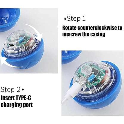 Automatic Rolling Ball Dog Toy