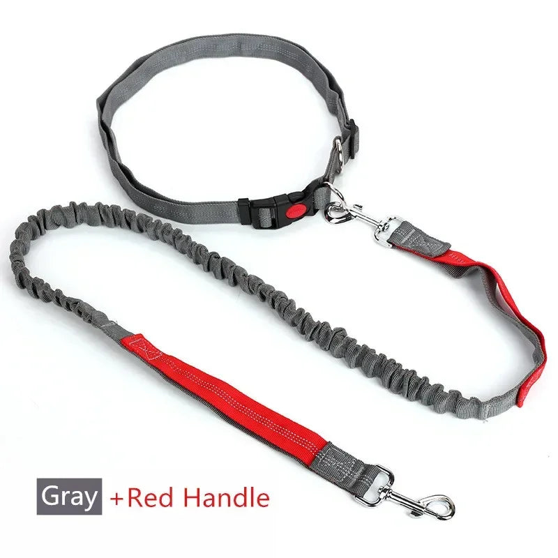 Hands-Free Dog Leash