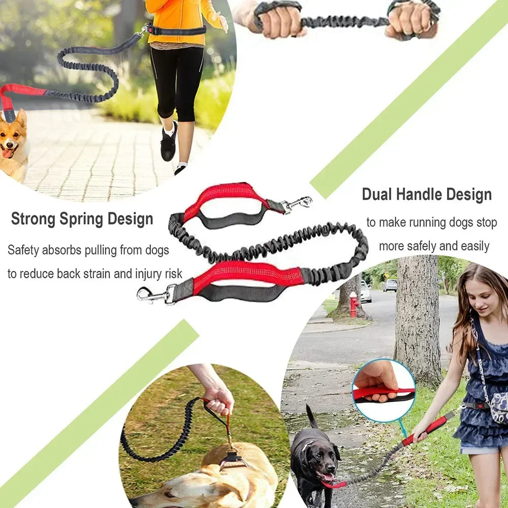 Hands-Free Dog Leash
