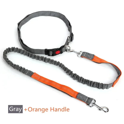 Hands-Free Dog Leash