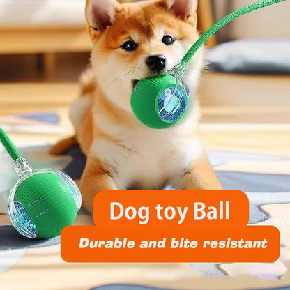 Smart Dog Ball Toy
