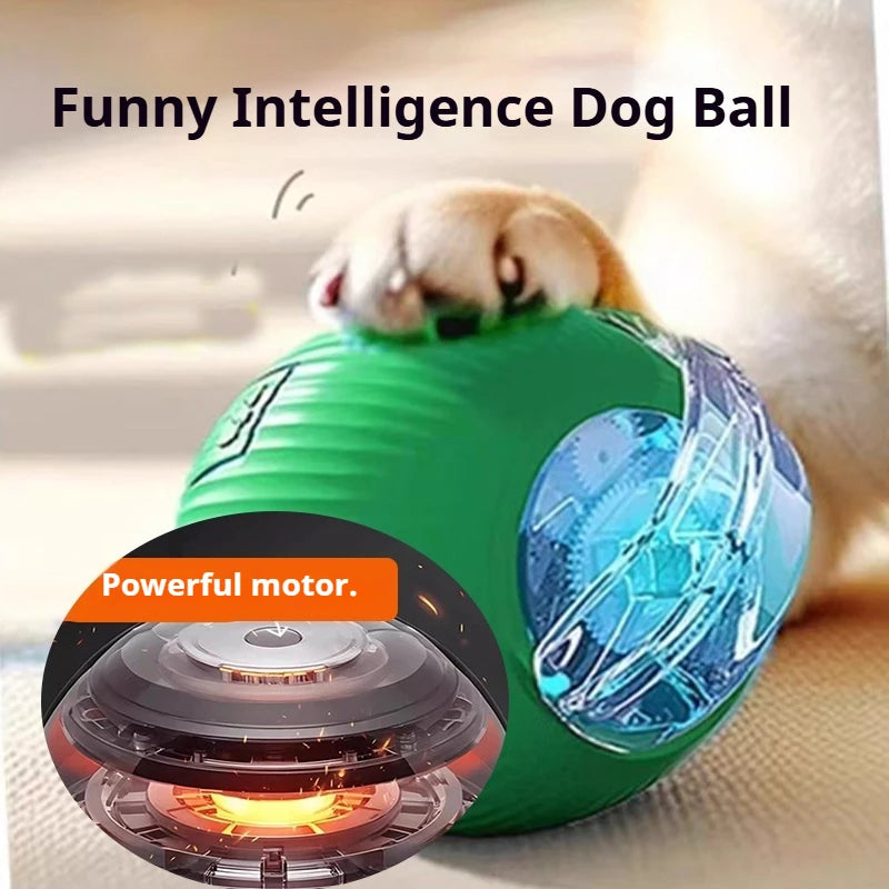 Smart Dog Ball Toy