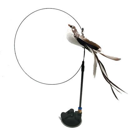 Fun Interactive Cat Toy