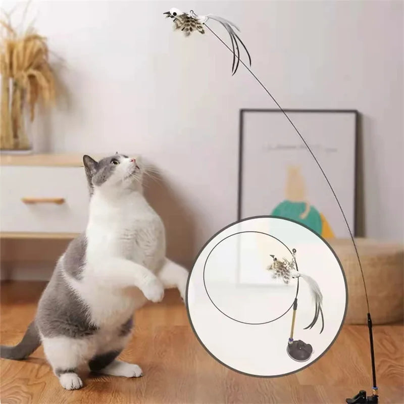 Fun Interactive Cat Toy