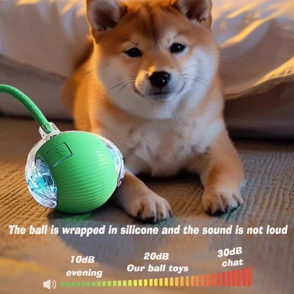Smart Dog Ball Toy