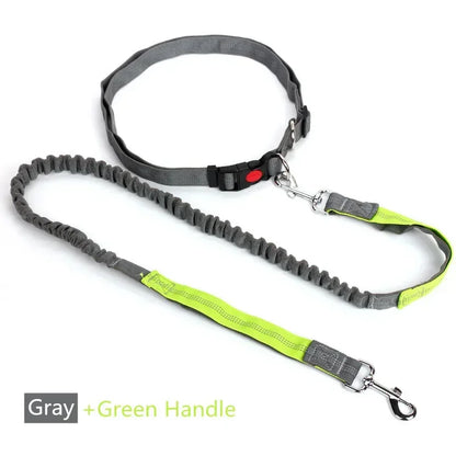 Hands-Free Dog Leash