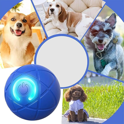 Automatic Rolling Ball Dog Toy