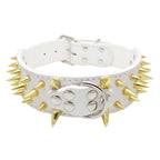 White leather dog collar with gold spikes on a white background-AZPaws