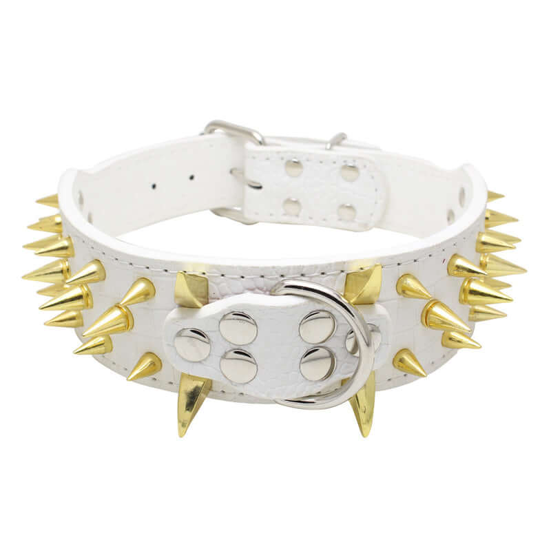 White leather dog collar with gold spikes on a white background-AZPaws
