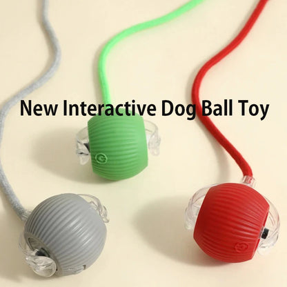Smart Dog Ball Toy