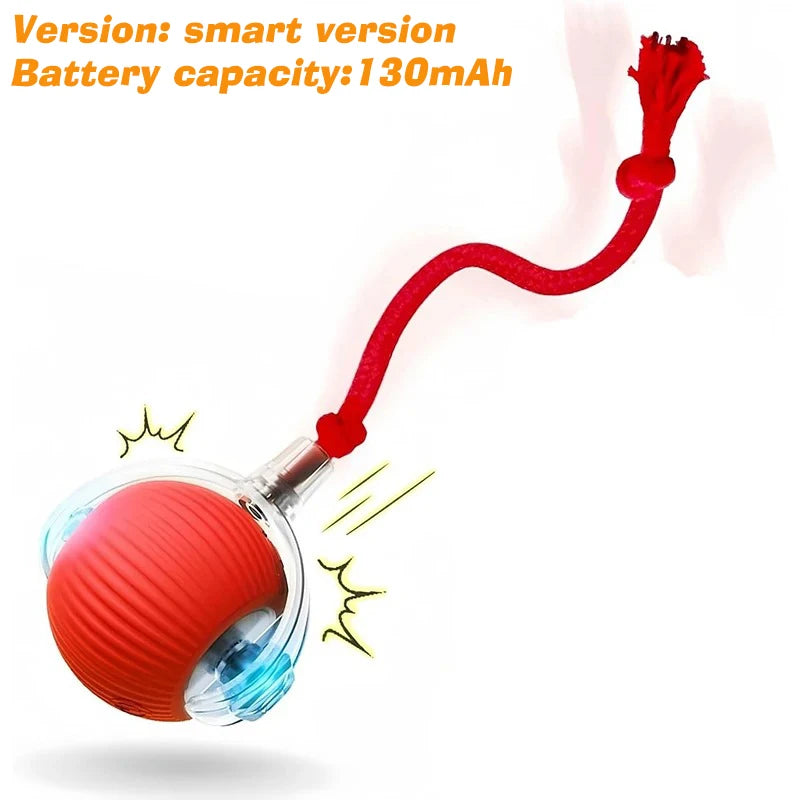Smart Dog Ball Toy