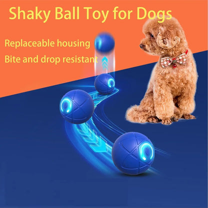 Automatic Rolling Ball Dog Toy