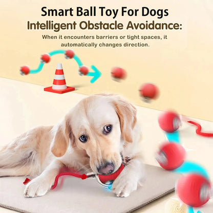 Smart Dog Ball Toy