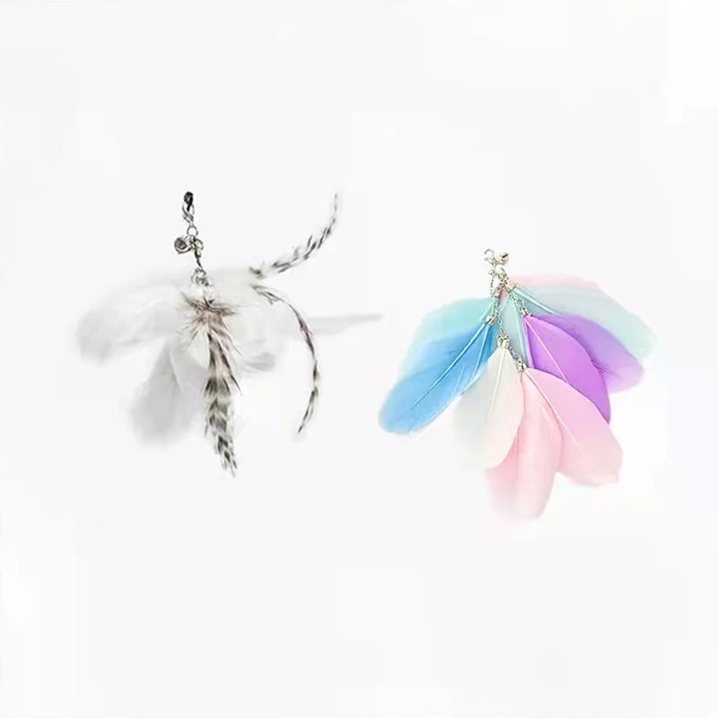 Fun Interactive Cat Toy