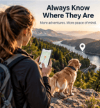 Dog wearing GPS tracking collar during outdoor adventure with owner