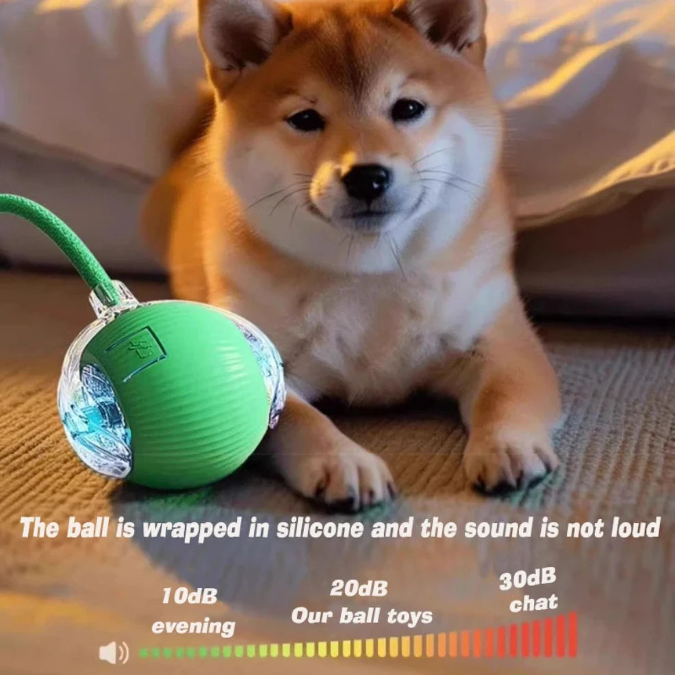 Smart Dog Ball Toy