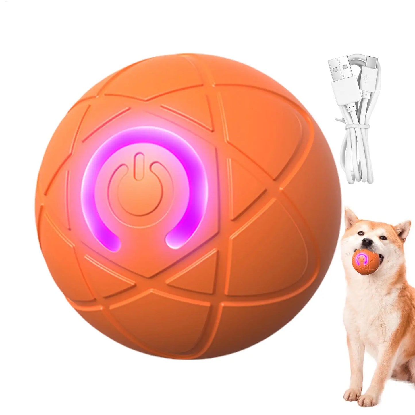 Automatic Rolling Ball Dog Toy