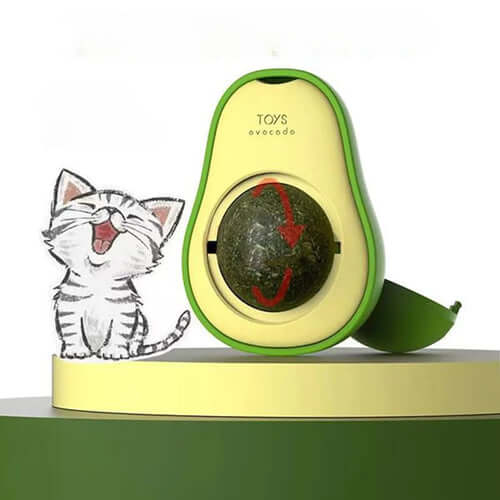 Avocado-shaped toy with a cat illustration on a white background
